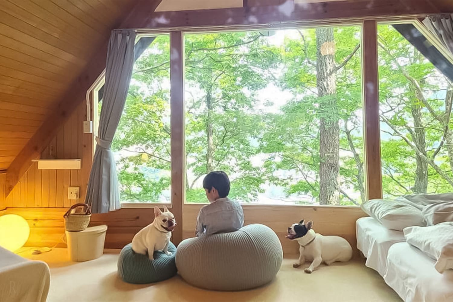 広島での愛犬とのご旅行に、温井ダムリゾートをぜひご利用ください。