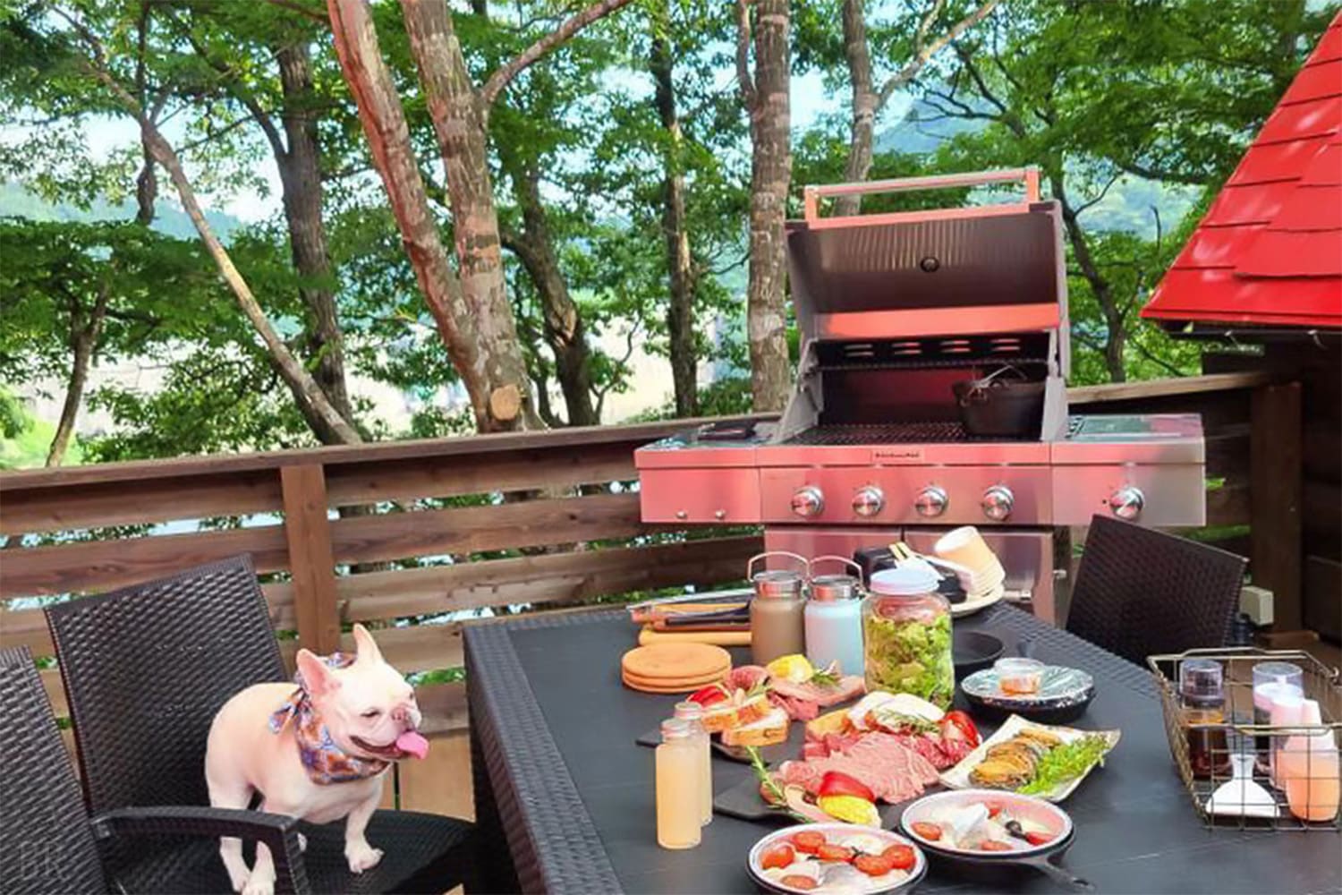 愛犬と一緒に楽しむ食事時間
