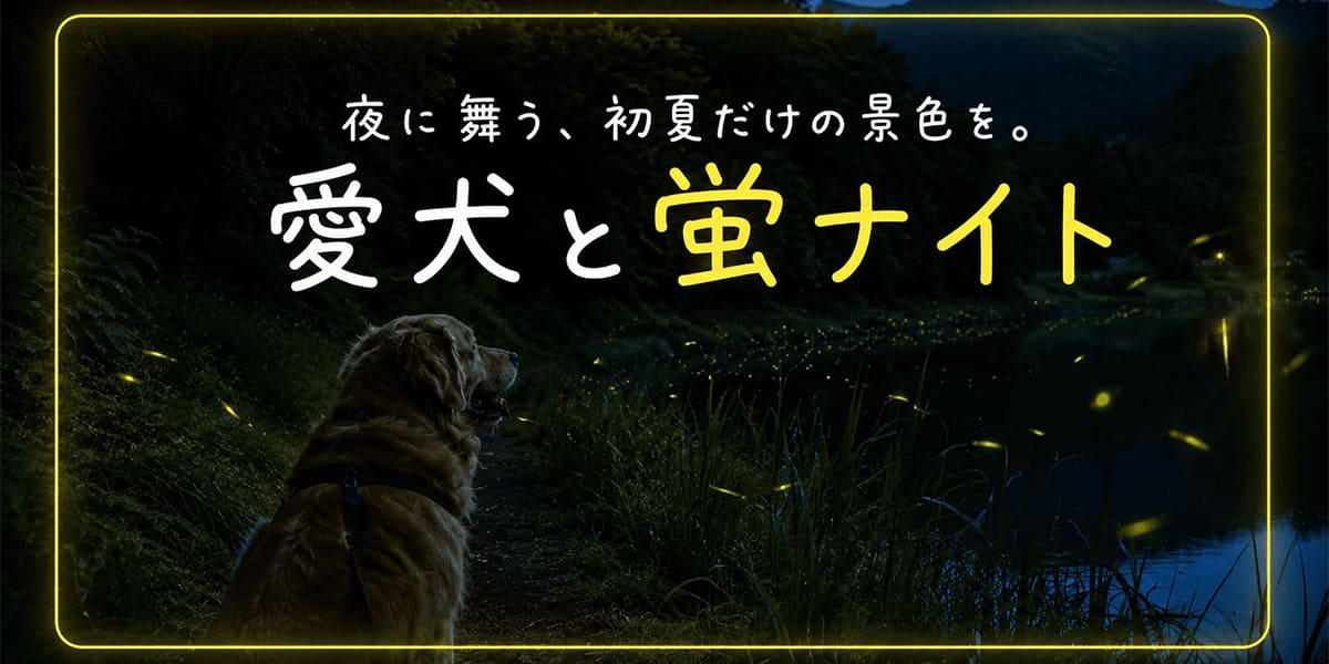 蛍バナー