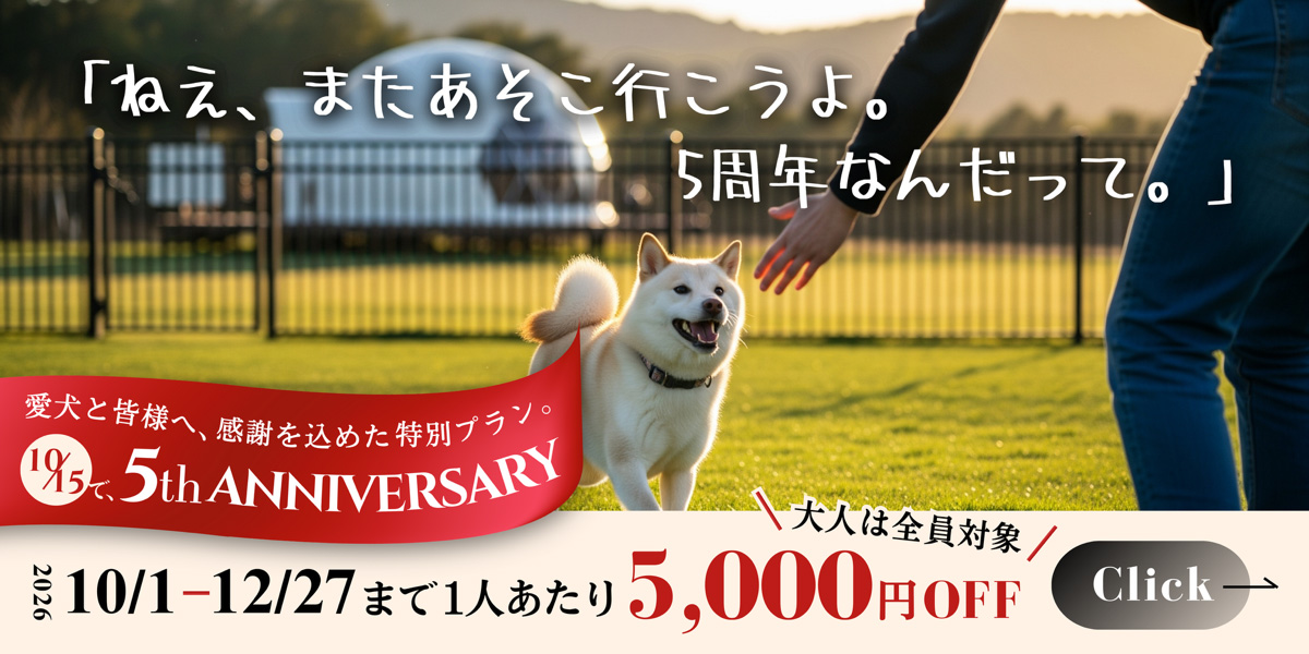 5周年記念プラン