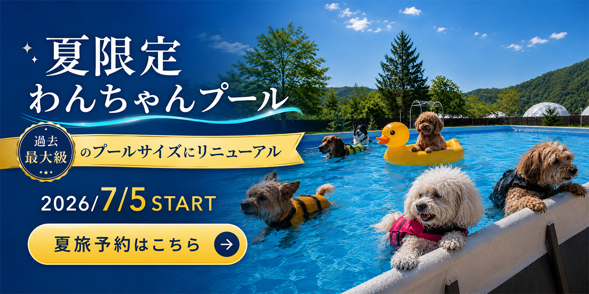 夏プールバナー