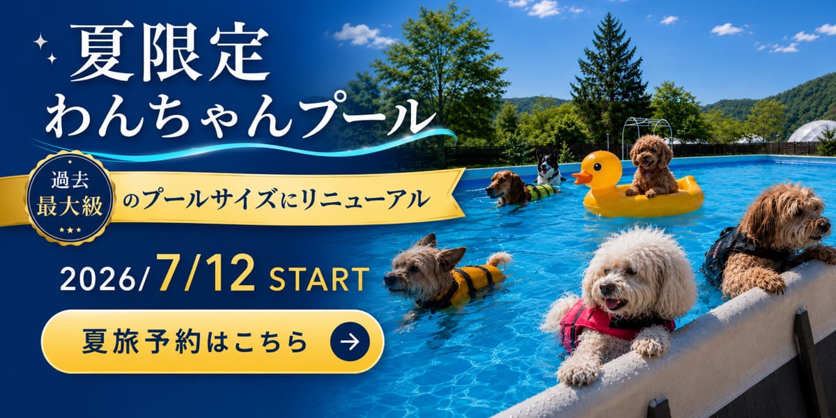 夏プールバナー