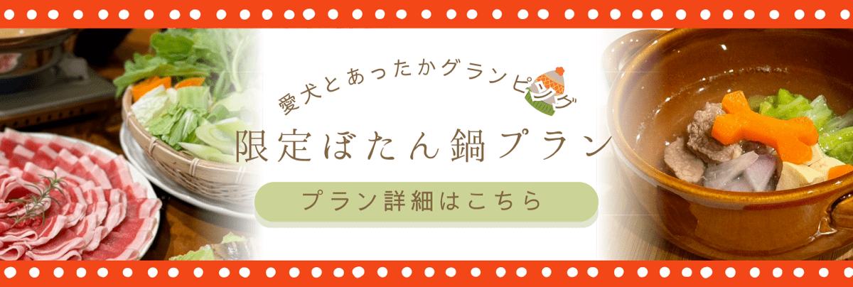 1月2月新春キャンペーン