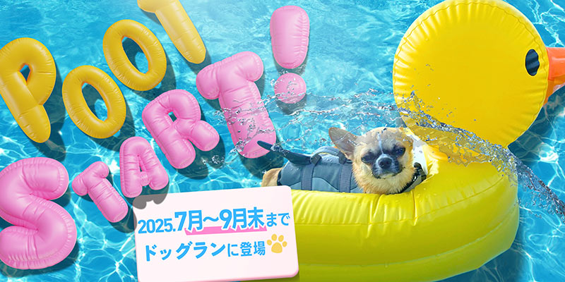 愛犬用プール